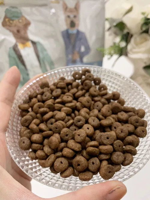 狗狗身上有異味 其實是這幾個部位搞的鬼