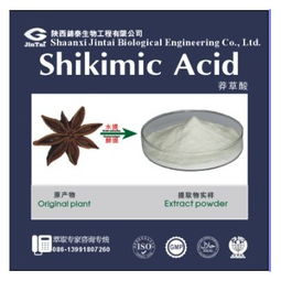 莽草酸的用途有哪些