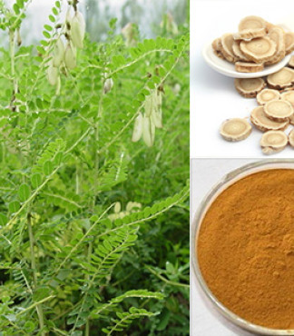 【廠家直供黃芪提取物_增強(qiáng)免疫功能價(jià)格|圖片】-