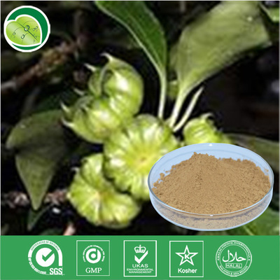 植物提取物-廠家供應半夏提取物20:1-植物提取物盡在阿里巴巴-西安源森生物科技.