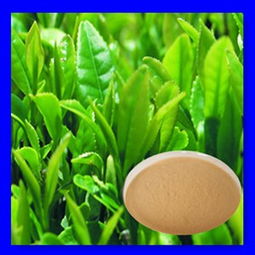 紅茶茶多酚 價格、型號規(guī)格與植物提取物特性詳解