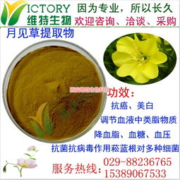 月見草提取物限時(shí)促銷，西安維特生物科技為您帶來純正植物精華